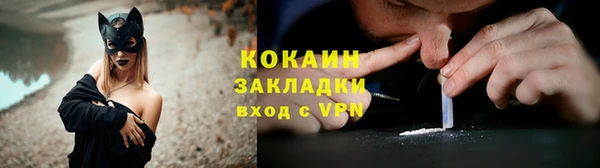 дмт Ладушкин