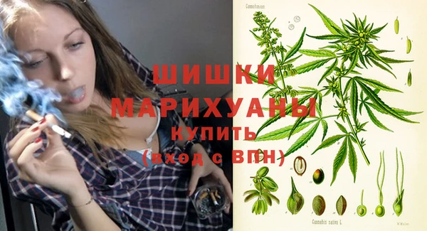 дмт Ладушкин