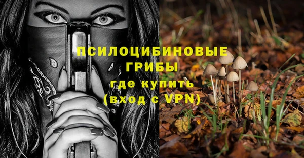 таблы Лабытнанги