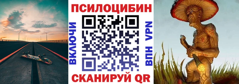 закладка  Курчалой  Галлюциногенные грибы GOLDEN TEACHER 