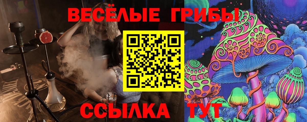 Курчалой  Псилоцибиновые грибы Magic Shrooms  Вход с VPN  Галлюциногенные грибы мицелий 