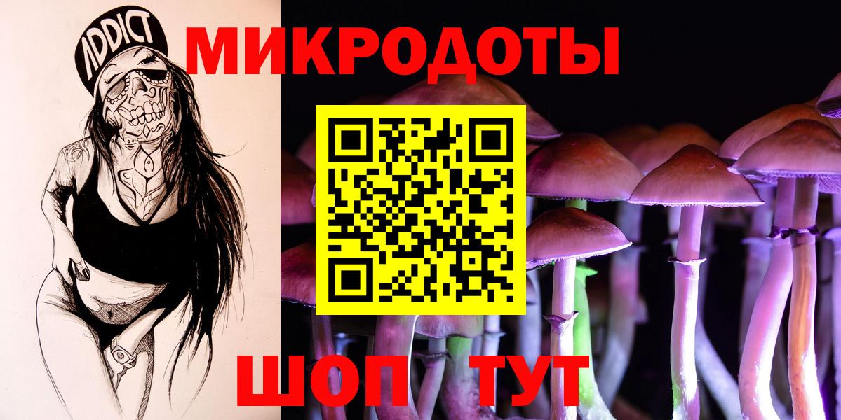 Псилоцибиновые грибы Psilocybine cubensis Курчалой